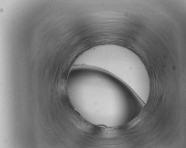 X0000073760141200608102055