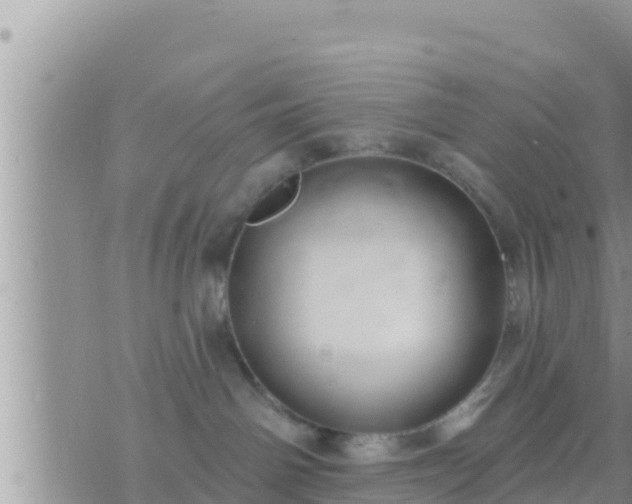 X0000073760142200608102055