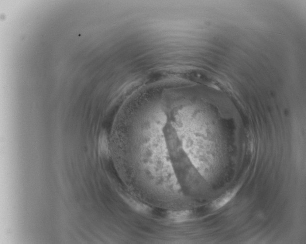 X0000073760143200608102055