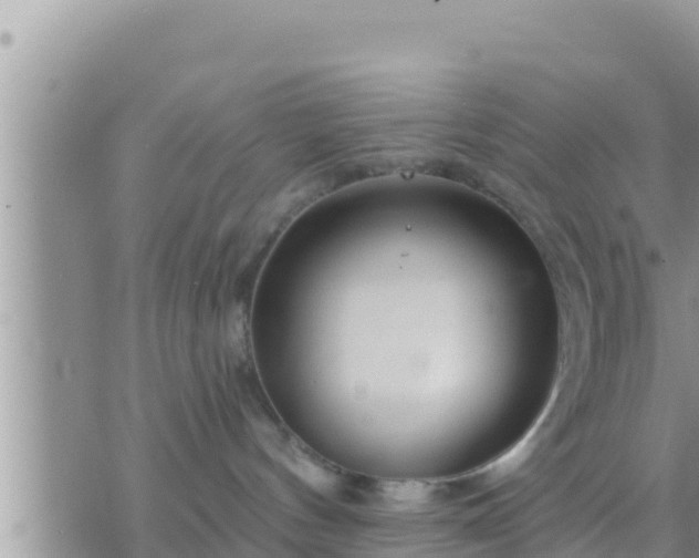 X0000073760144200608102055