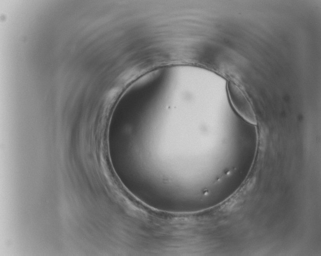 X0000073760145200608102054