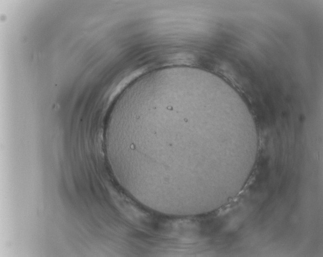 X0000073760146200608102054