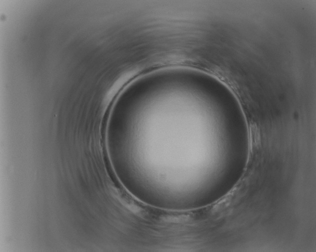 X0000073760147200608102054