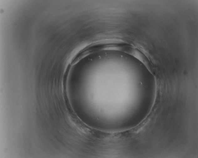 X0000073760148200608102054