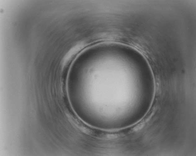 X0000073760149200608102054