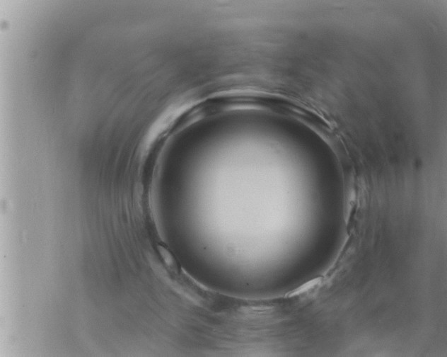 X0000073760150200608102054