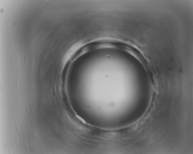 X0000073760152200608102054