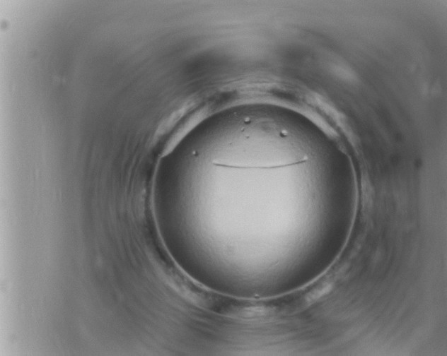 X0000073760153200608102054