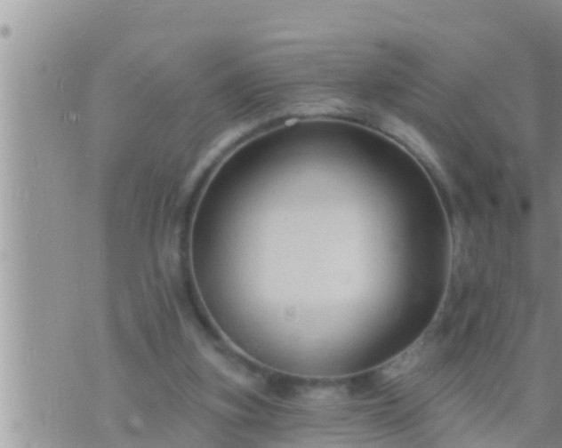 X0000073760155200608102054