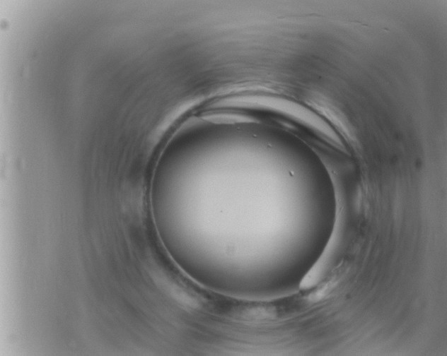 X0000073760156200608102054