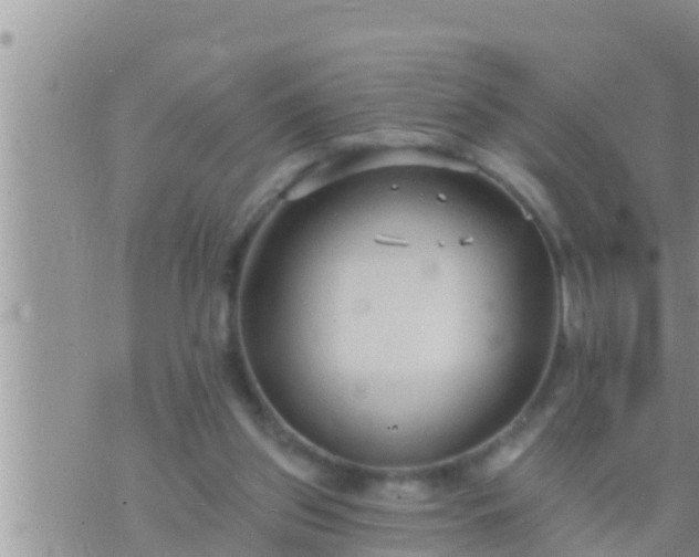 X0000073760157200608102054