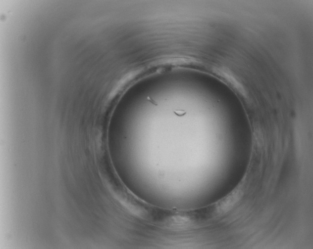 X0000073760159200608102054