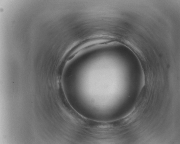 X0000073760160200608102054