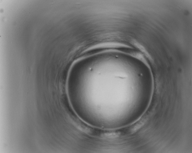 X0000073760161200608102054