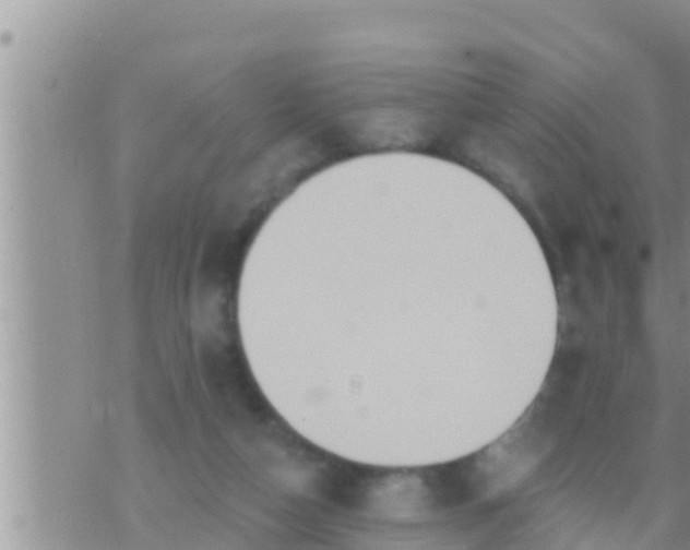 X0000073760162200608102054