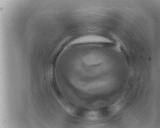 X0000073760163200608102054