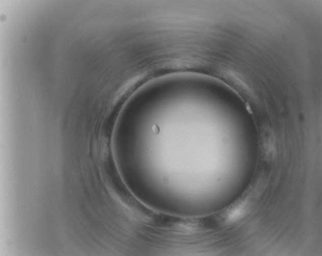 X0000073760164200608102054