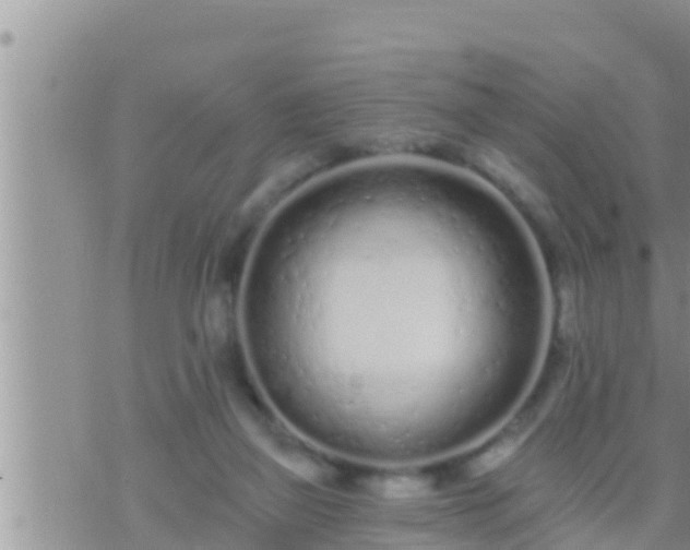 X0000073760165200608102054