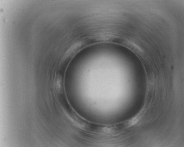 X0000073760166200608102054