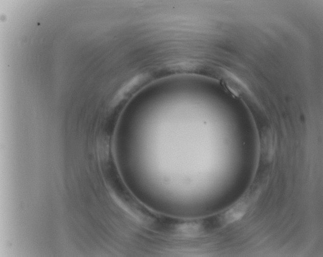 X0000073760168200608102054