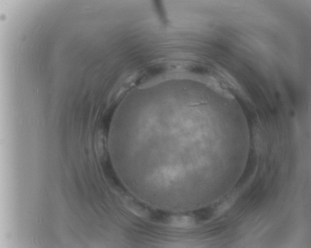 X0000073760169200608102054