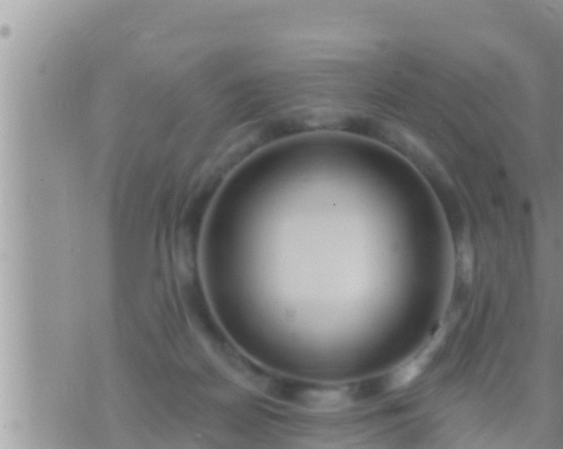 X0000073760170200608102054