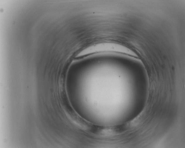 X0000073760171200608102054