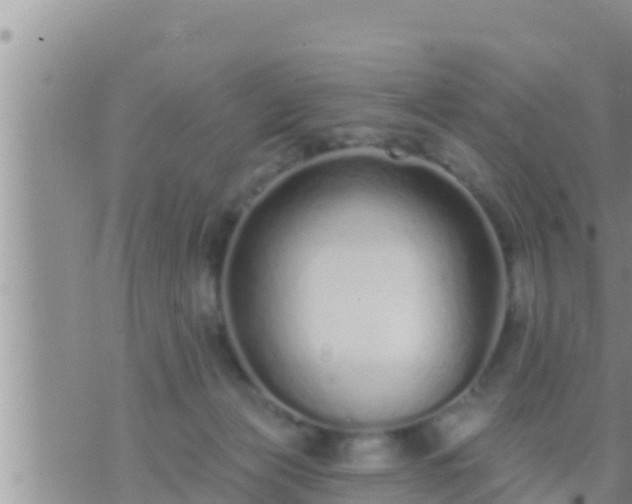 X0000073760173200608102054