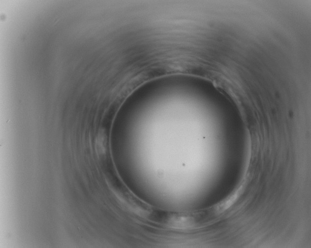 X0000073760174200608102054