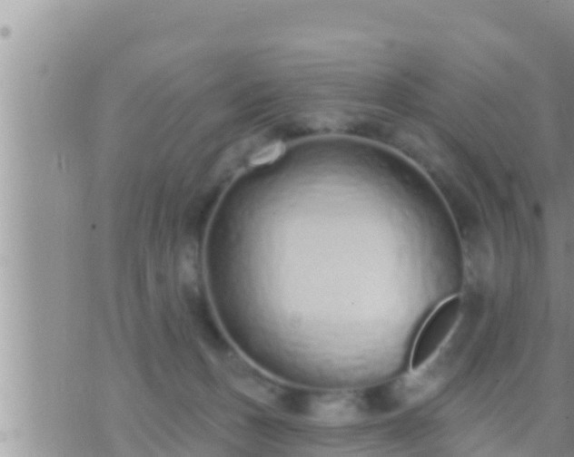 X0000073760175200608102054