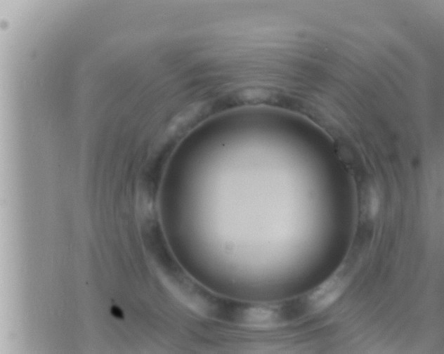 X0000073760176200608102055