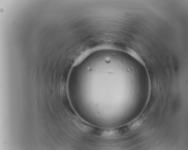 X0000073760177200608102055