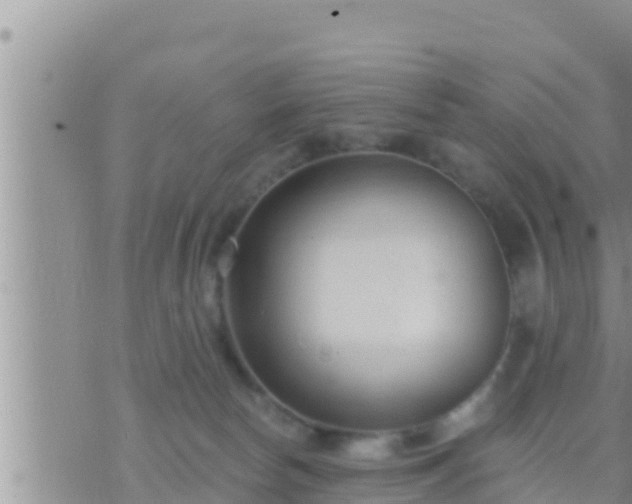 X0000073760178200608102055