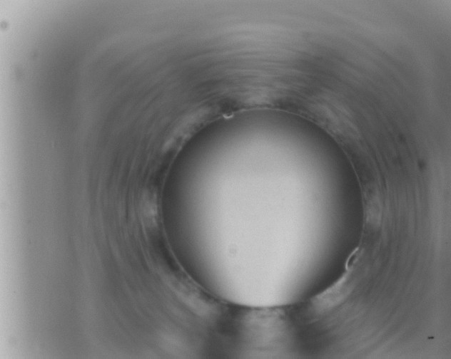 X0000073760179200608102055