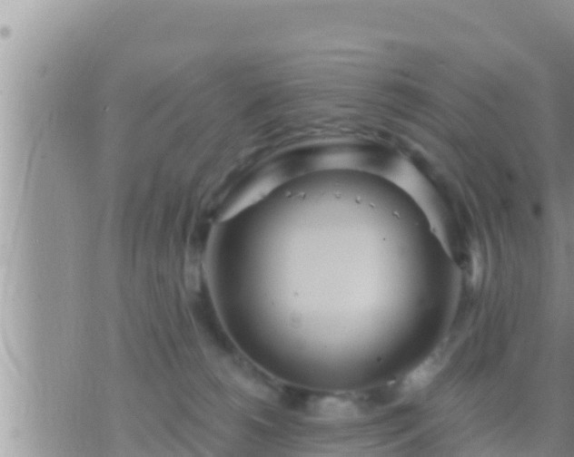 X0000073760180200608102055