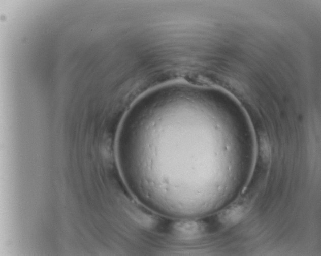 X0000073760181200608102055