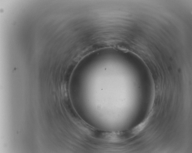 X0000073760182200608102055