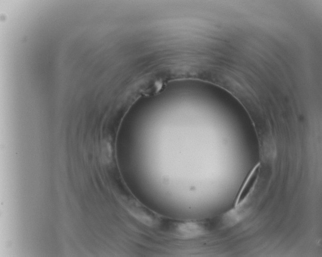 X0000073760183200608102055