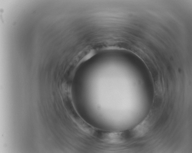 X0000073760184200608102055