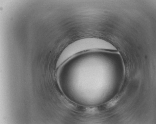 X0000073760185200608102055