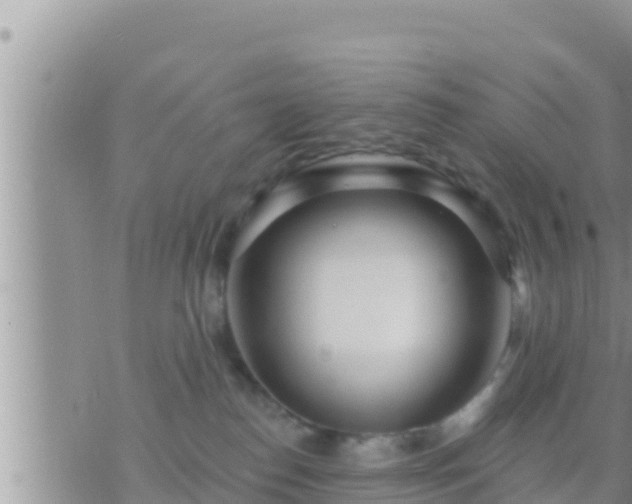 X0000073760186200608102055