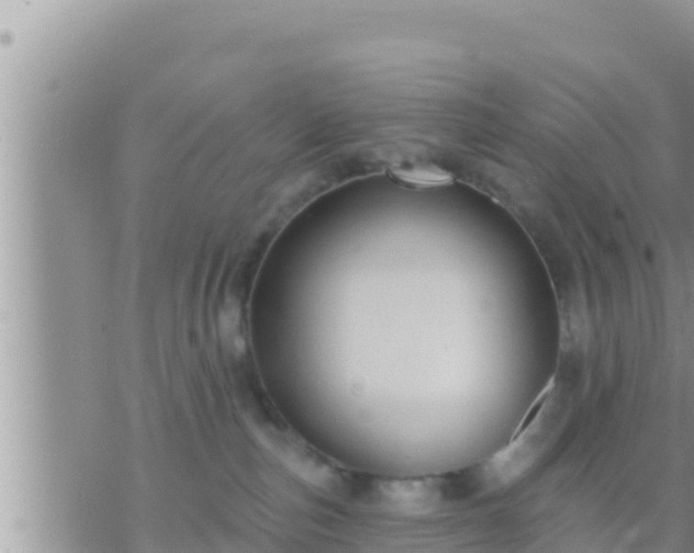 X0000073760187200608102055