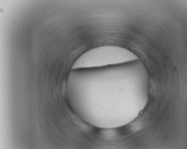 X0000073760189200608102055