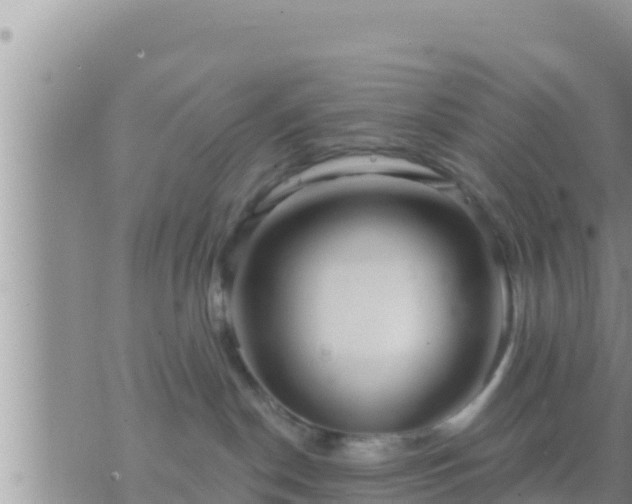 X0000073760190200608102055