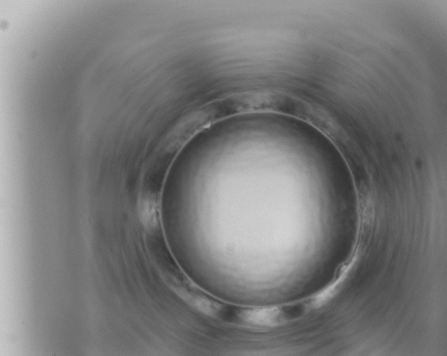 X0000073760191200608102055