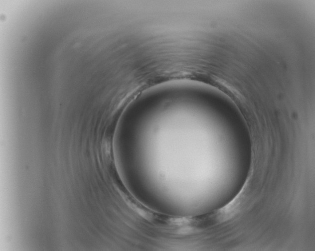 X0000073760192200608102055