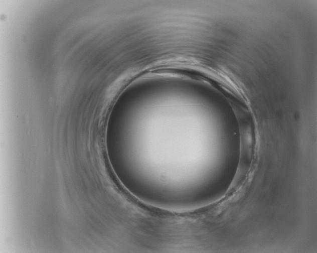 X0000073760193200608102054