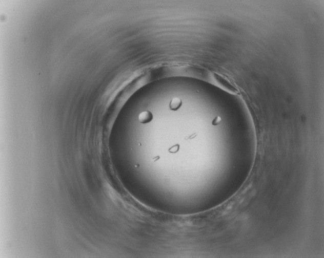 X0000073760194200608102054