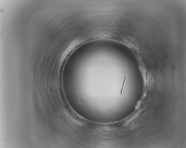 X0000073760195200608102054