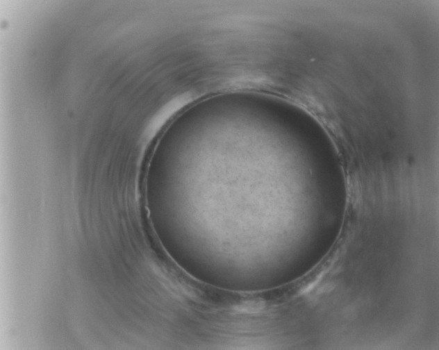 X0000073760196200608102054